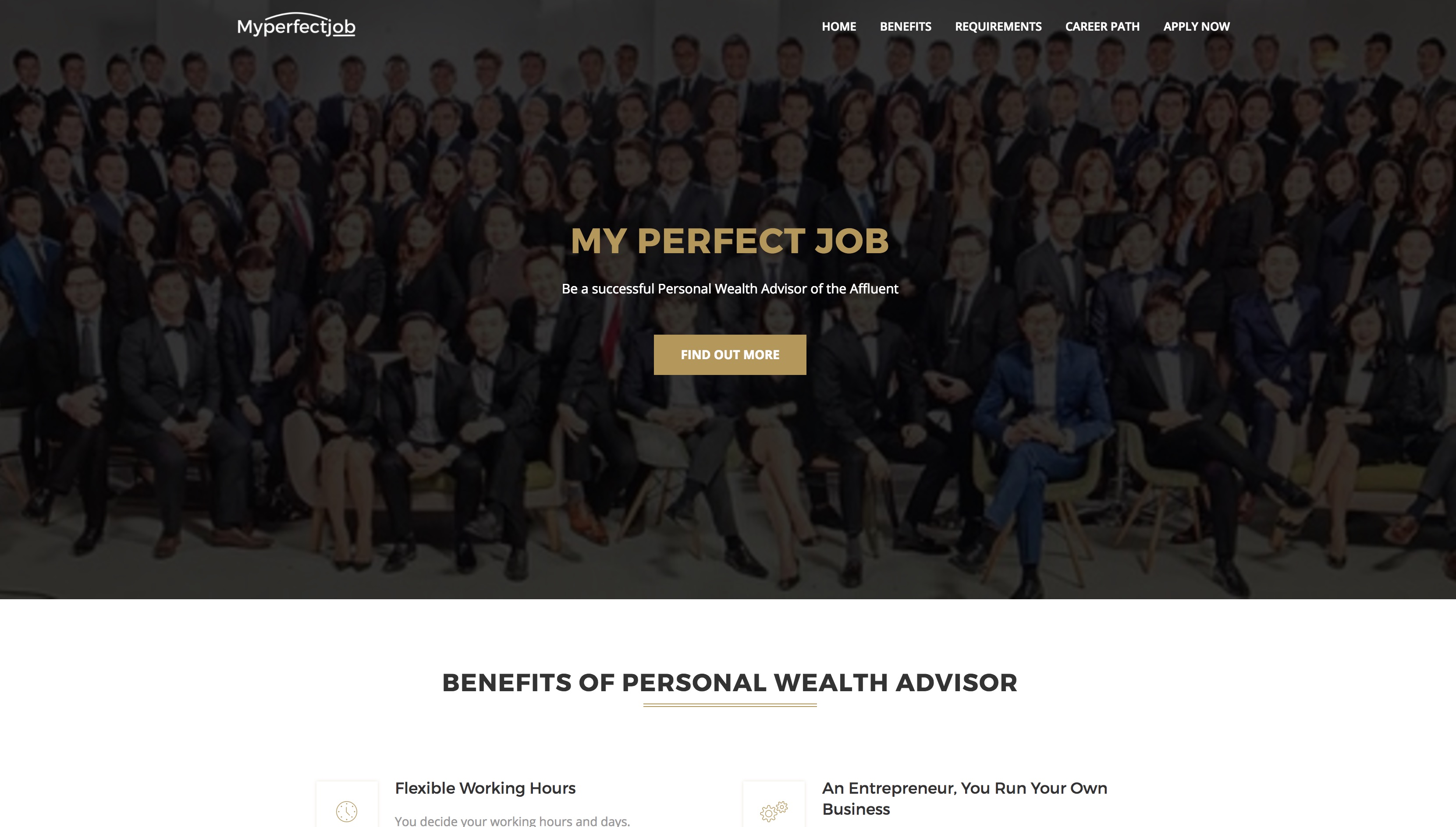 My Perfect Job